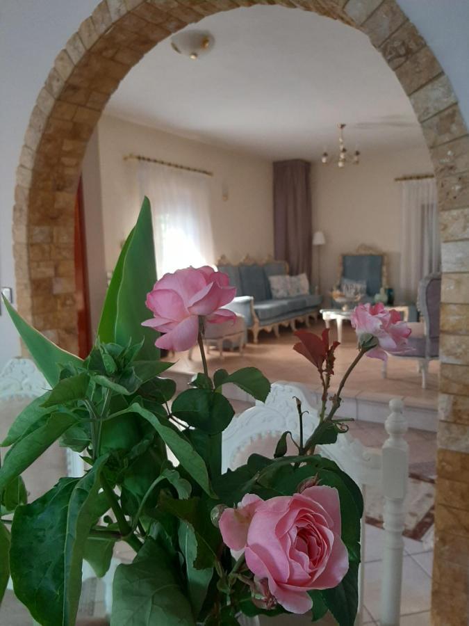 Vintage Holiday home Nikiti (Sithonia)