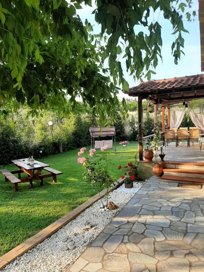 Vintage Nikiti (Sithonia)