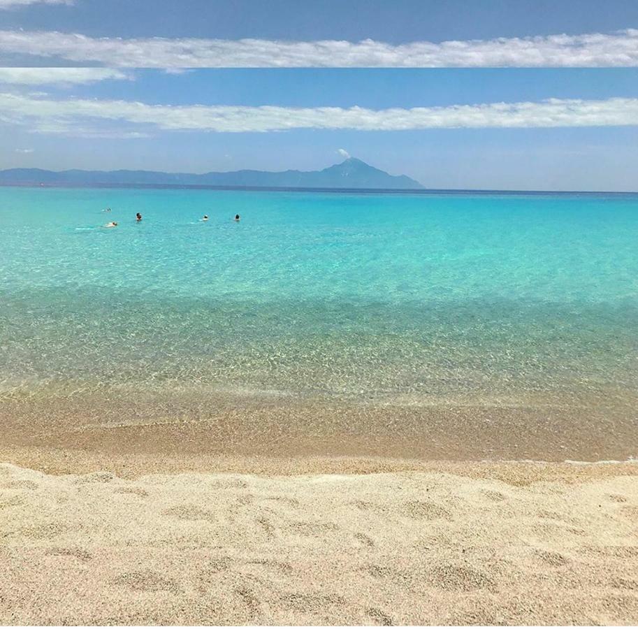 Vintage * Nikiti (Sithonia)